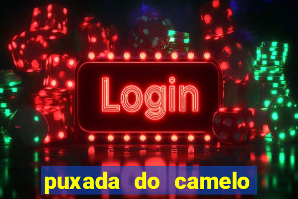 puxada do camelo jogo do bicho